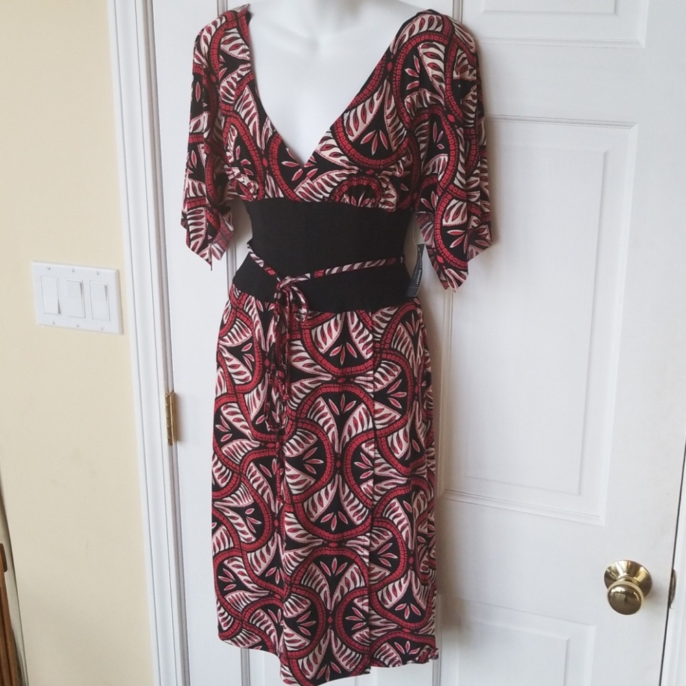 Bisou Bisou Dress New